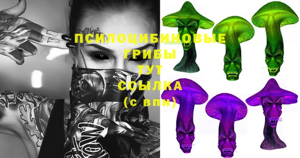 крисы Алексин