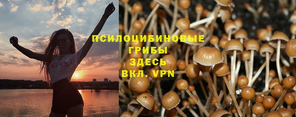 крисы Алексин