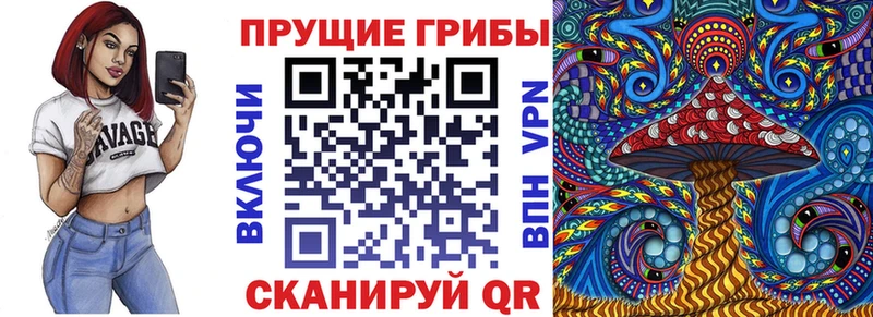 Псилоцибиновые грибы Psilocybe  дарк нет клад  Калтан  закладка 