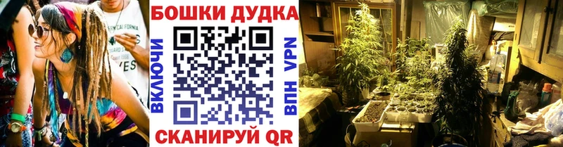 купить наркотики цена  Калтан  Канабис SATIVA & INDICA 